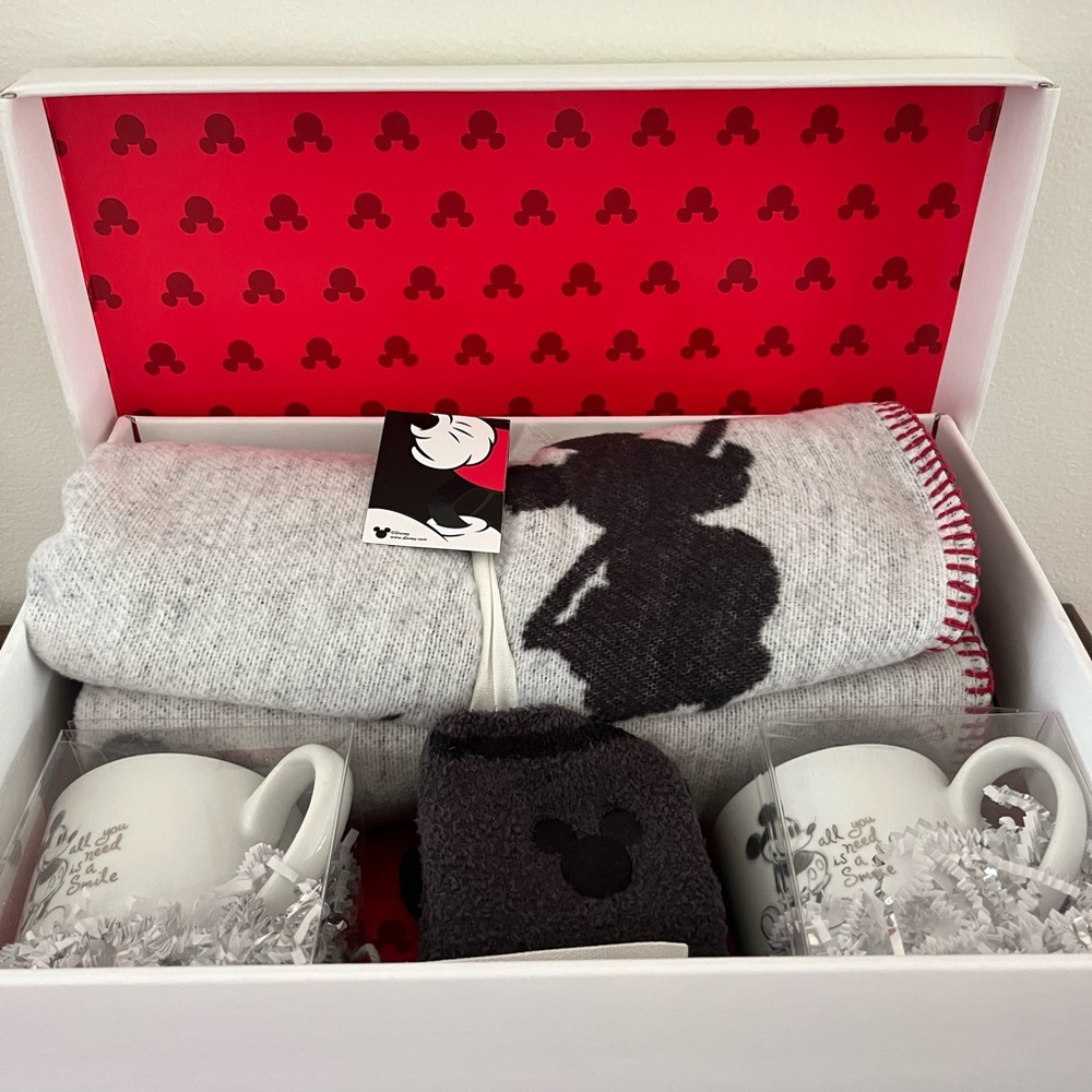Disney Mickey Themed Gift